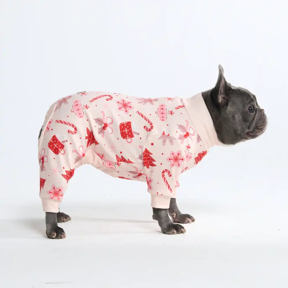 sparkpawsmaut.com