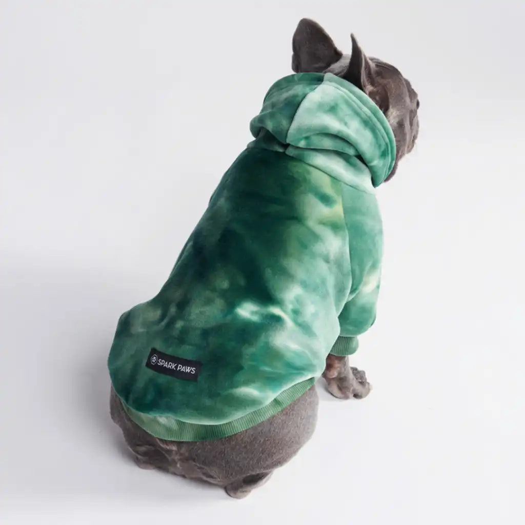 sparkpawsmaut.com