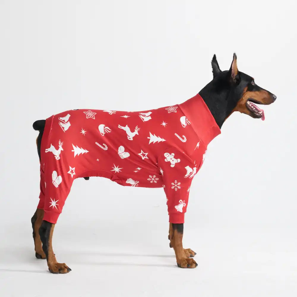 sparkpawsmaut.com