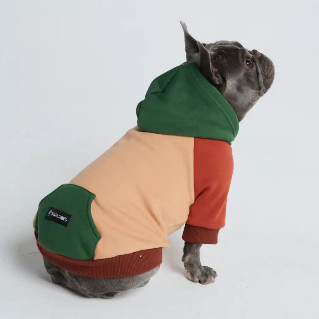 sparkpawsmaut.com