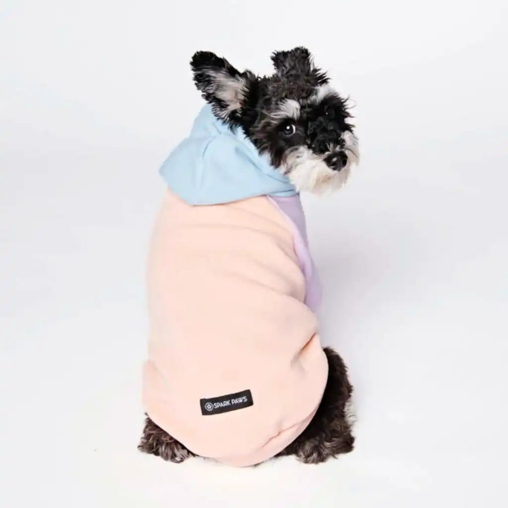 sparkpawsmaut.com