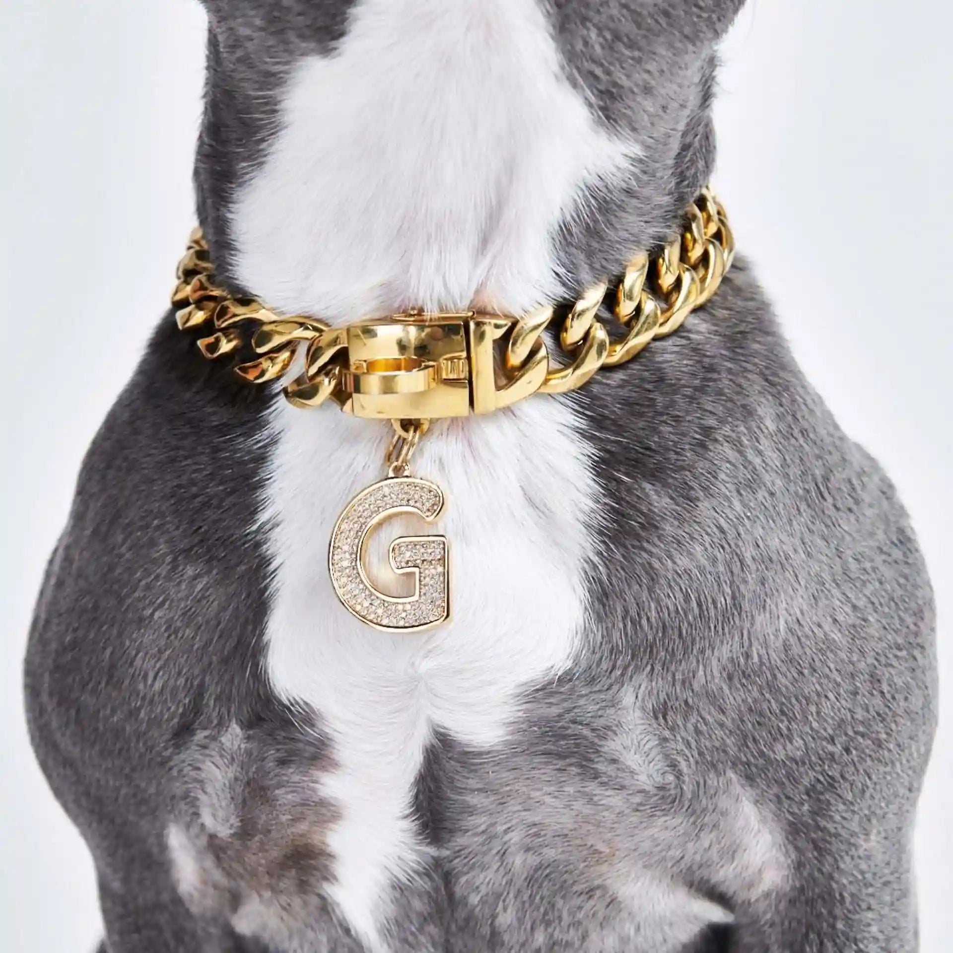 sparkpawsmaut.com