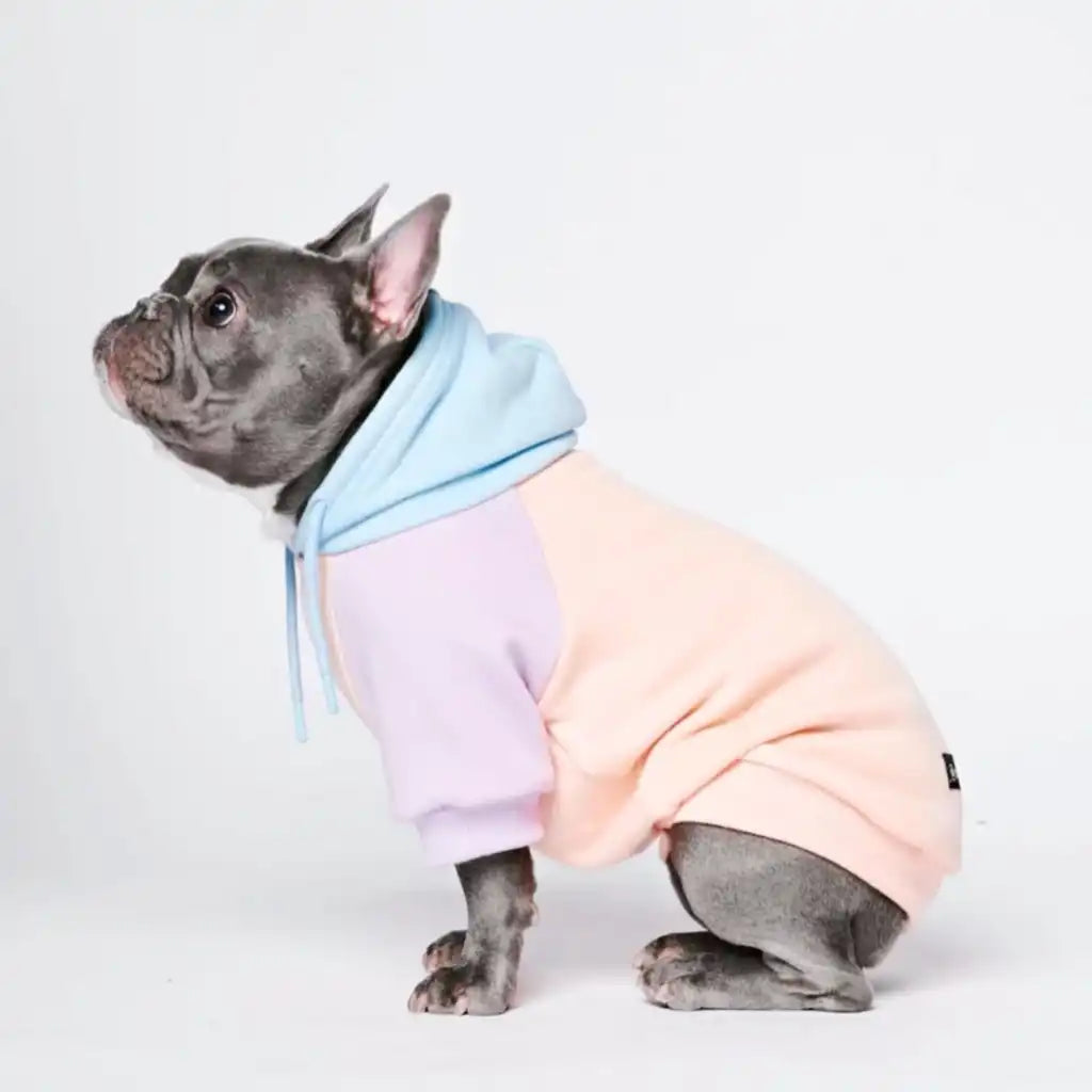 sparkpawsmaut.com