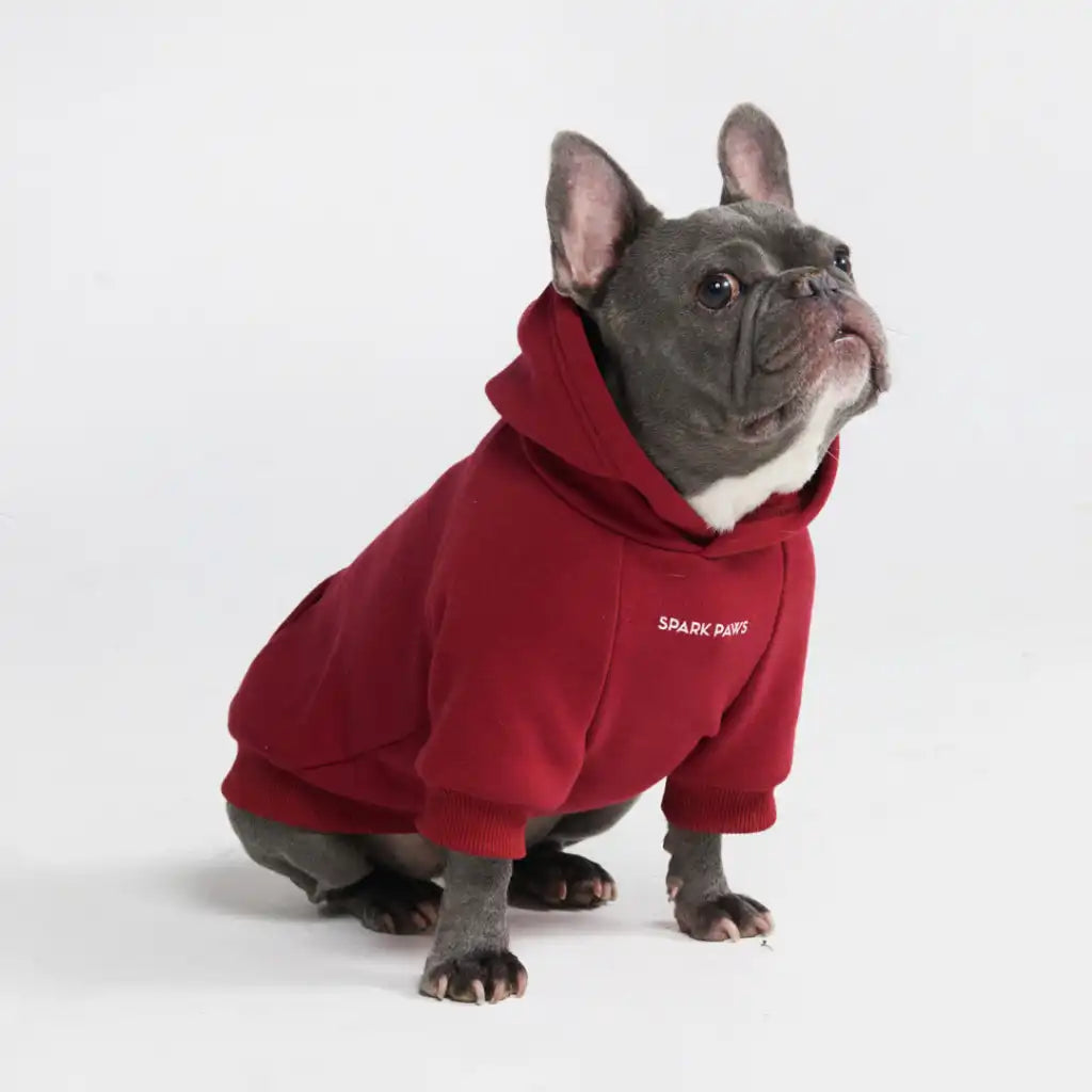 sparkpawsmaut.com