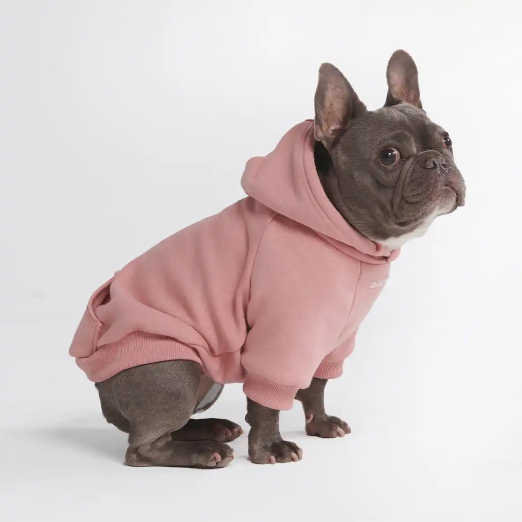 sparkpawsmaut.com