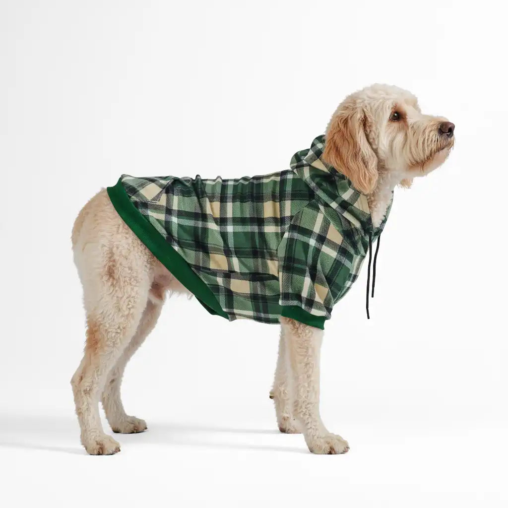 sparkpawsmaut.com