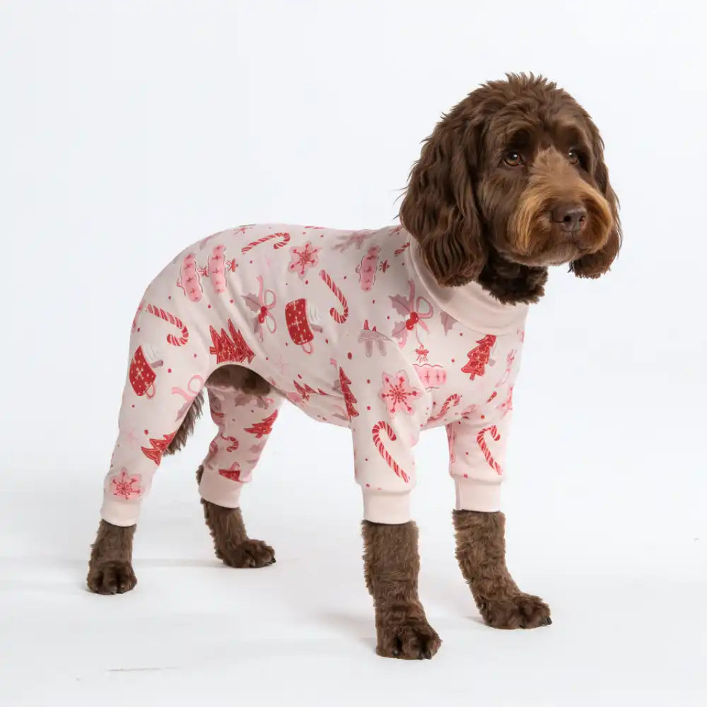 sparkpawsmaut.com