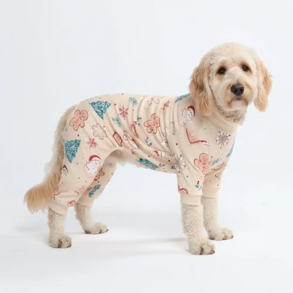 sparkpawsmaut.com
