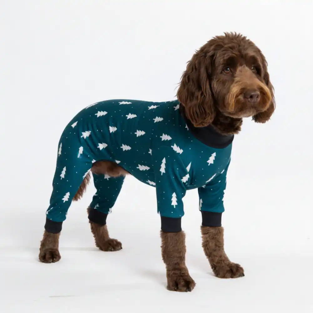 sparkpawsmaut.com