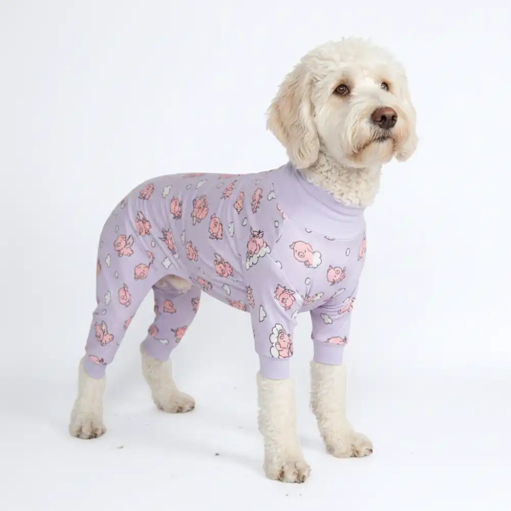 sparkpawsmaut.com