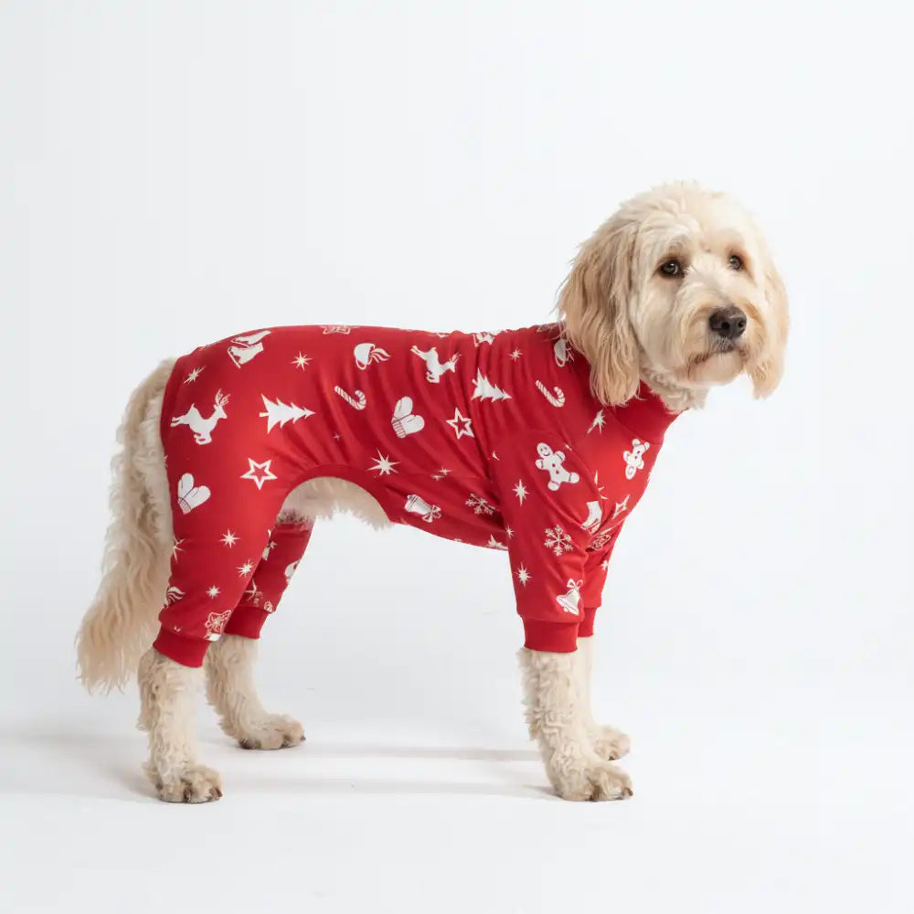 sparkpawsmaut.com