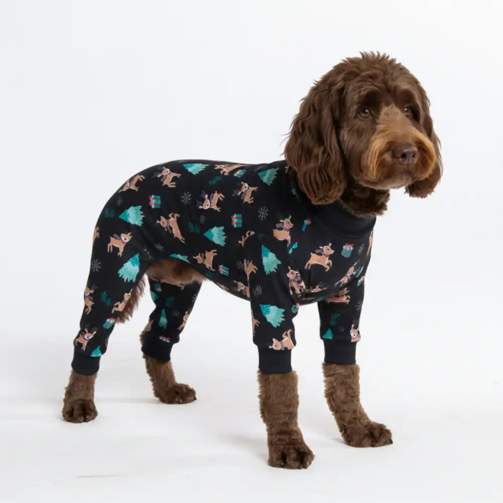 sparkpawsmaut.com