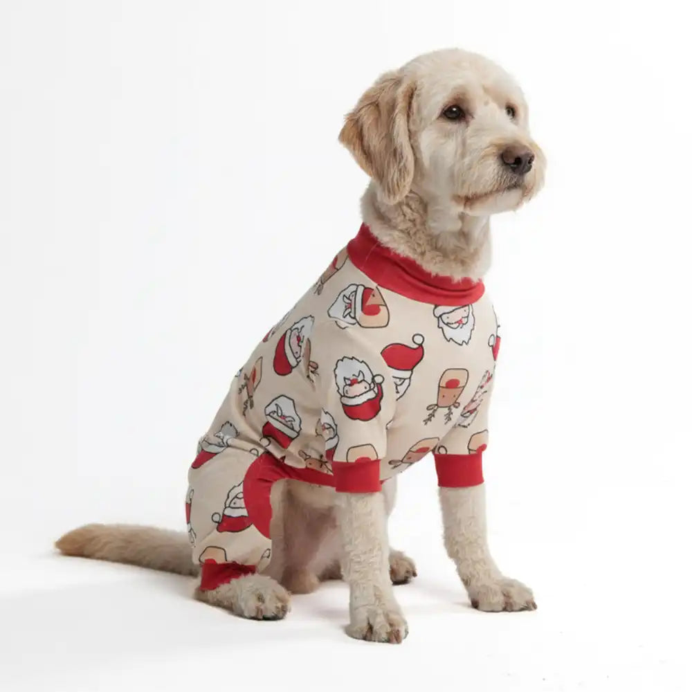 sparkpawsmaut.com