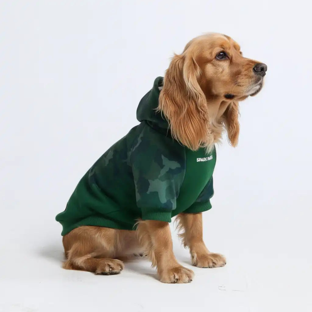 sparkpawsmaut.com