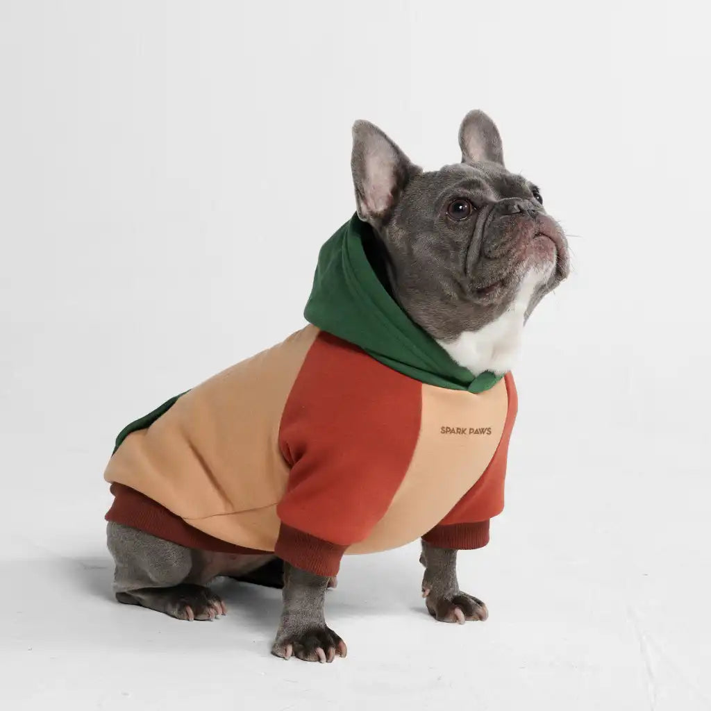 sparkpawsmaut.com