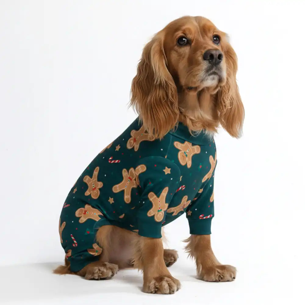 sparkpawsmaut.com