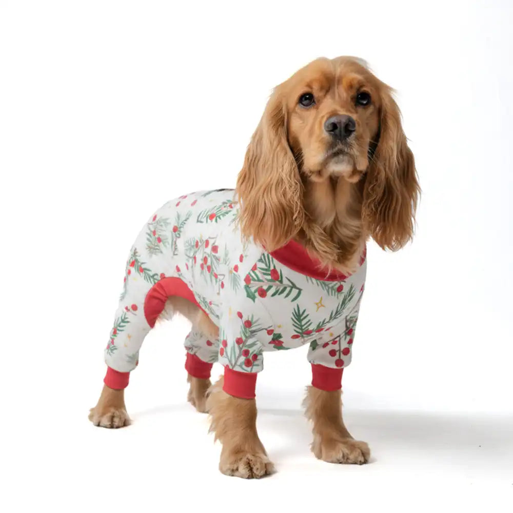 sparkpawsmaut.com