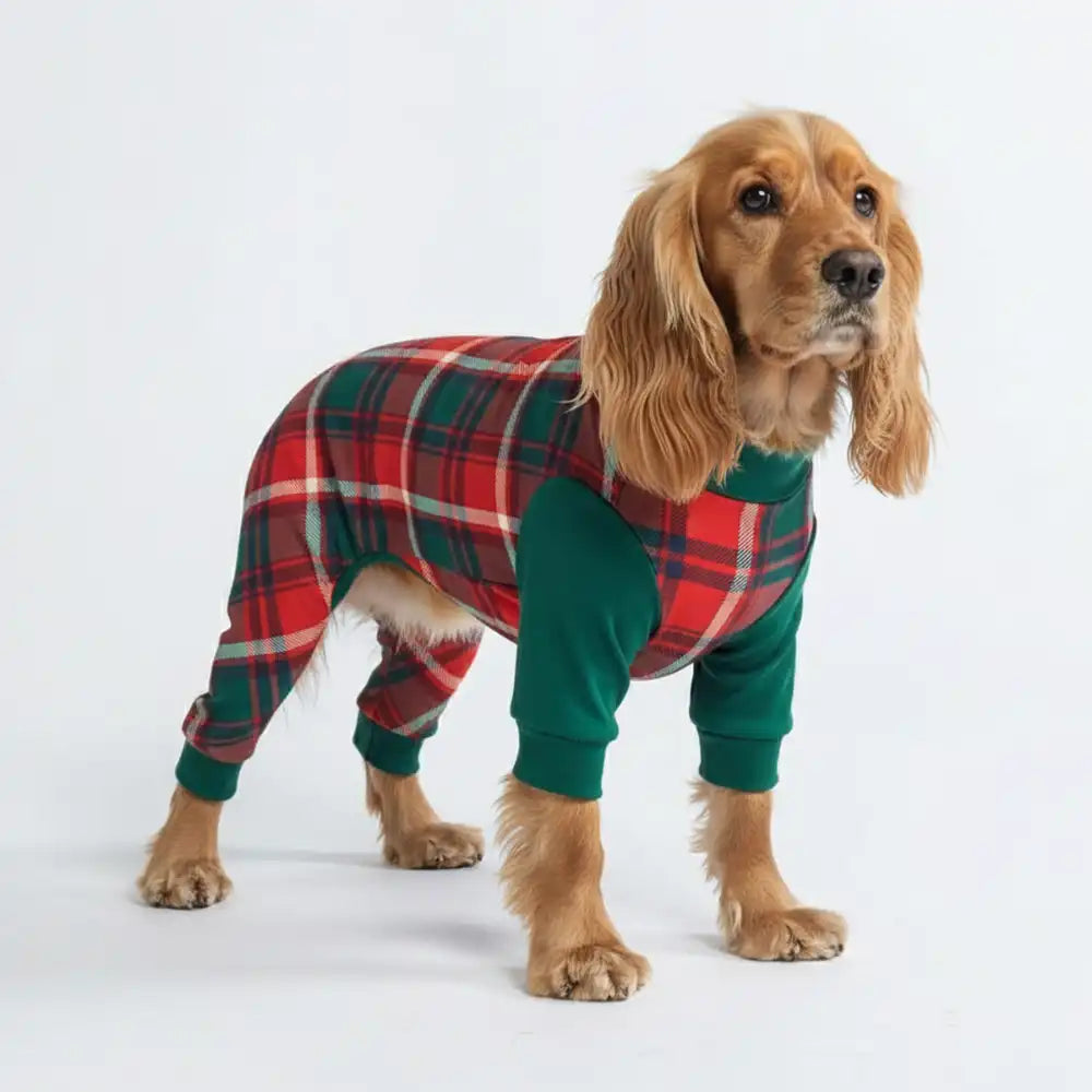 sparkpawsmaut.com