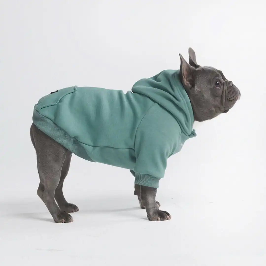 sparkpawsmaut.com