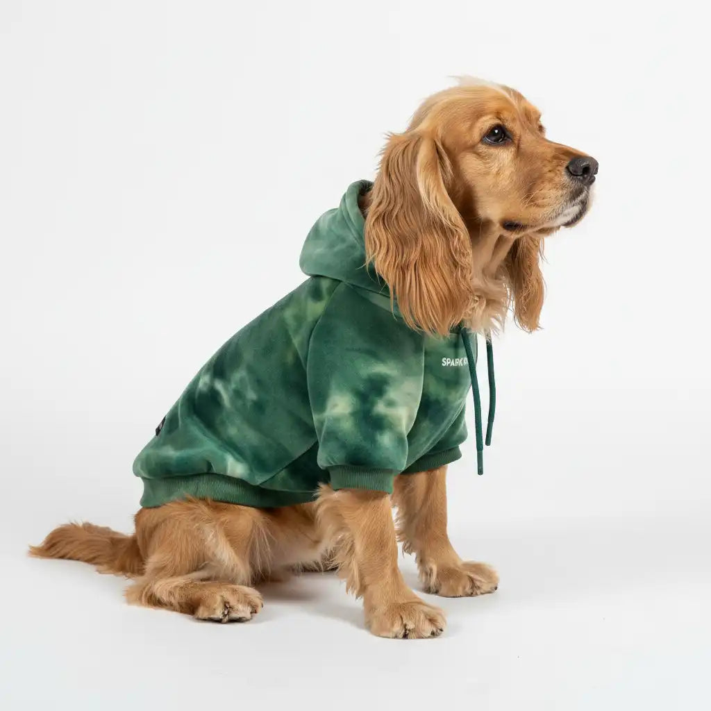 sparkpawsmaut.com