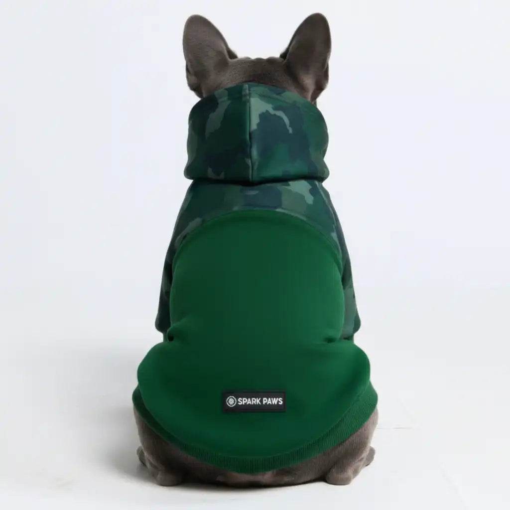 sparkpawsmaut.com