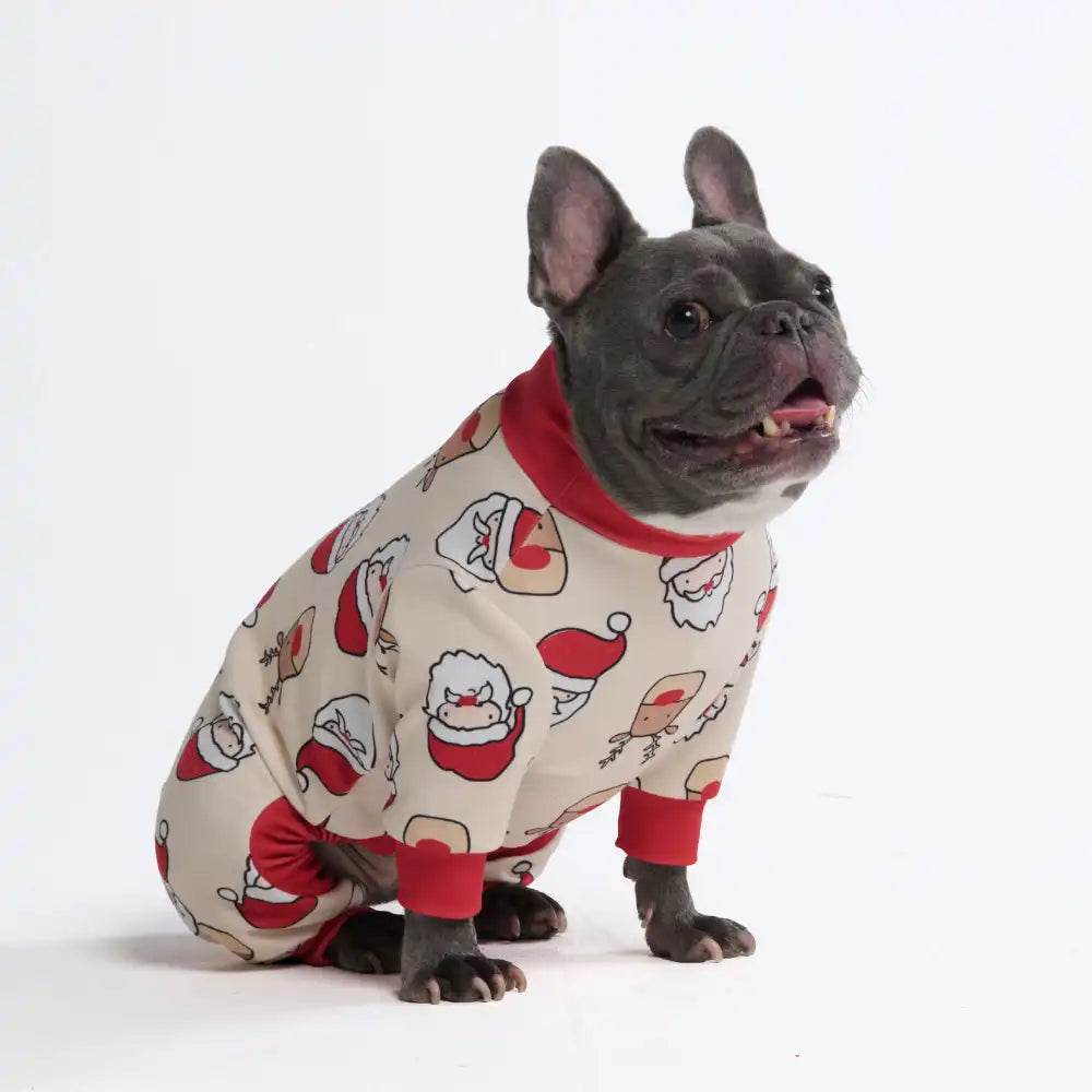 sparkpawsmaut.com