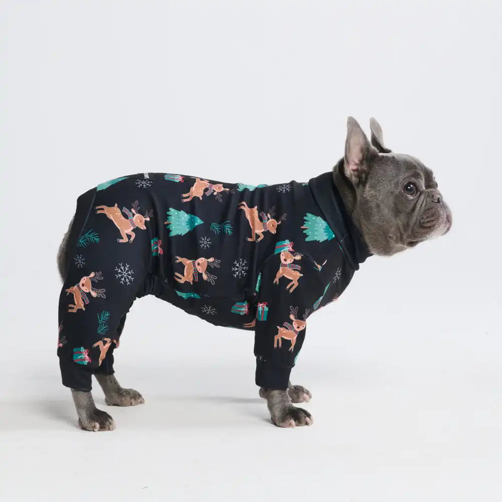 sparkpawsmaut.com