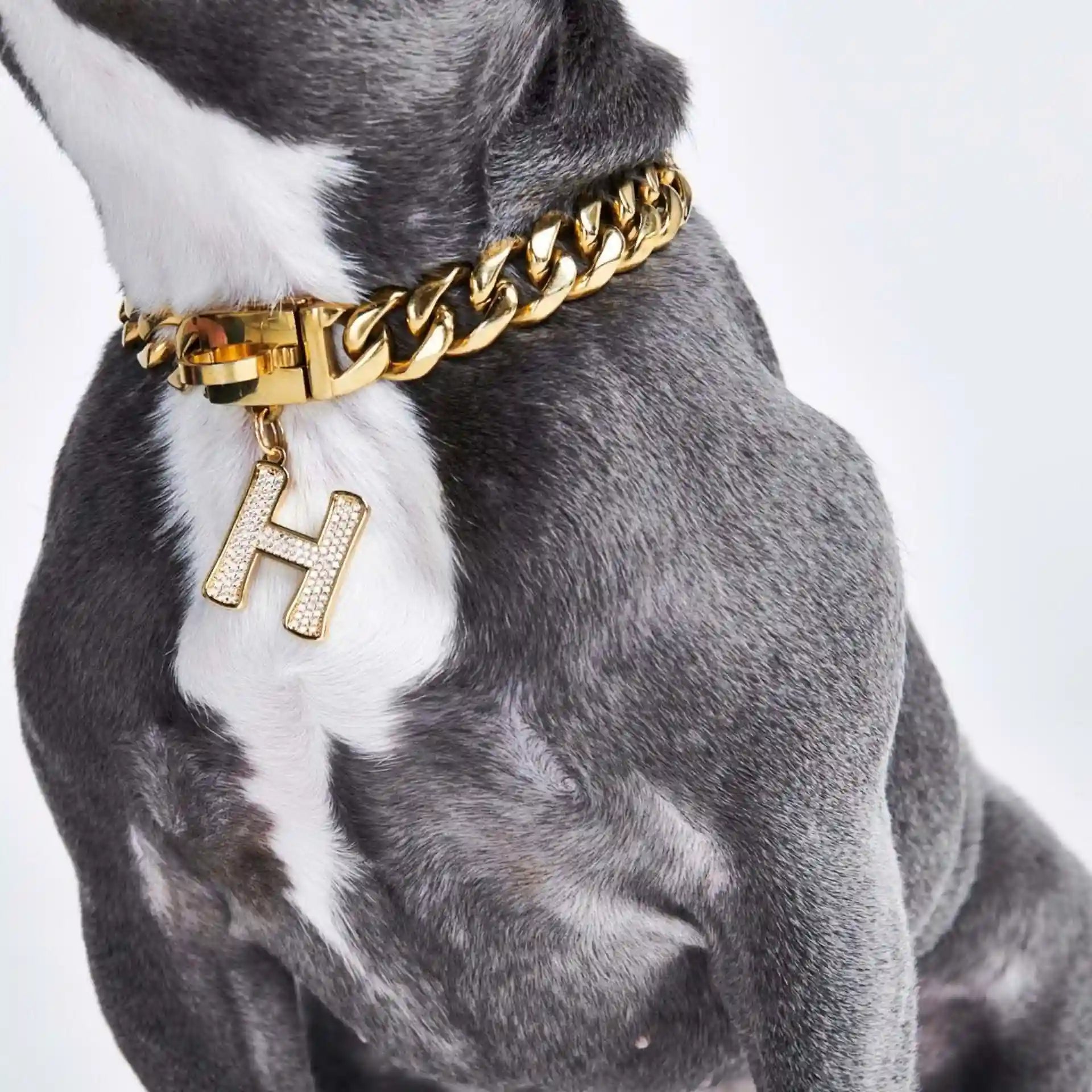 sparkpawsmaut.com