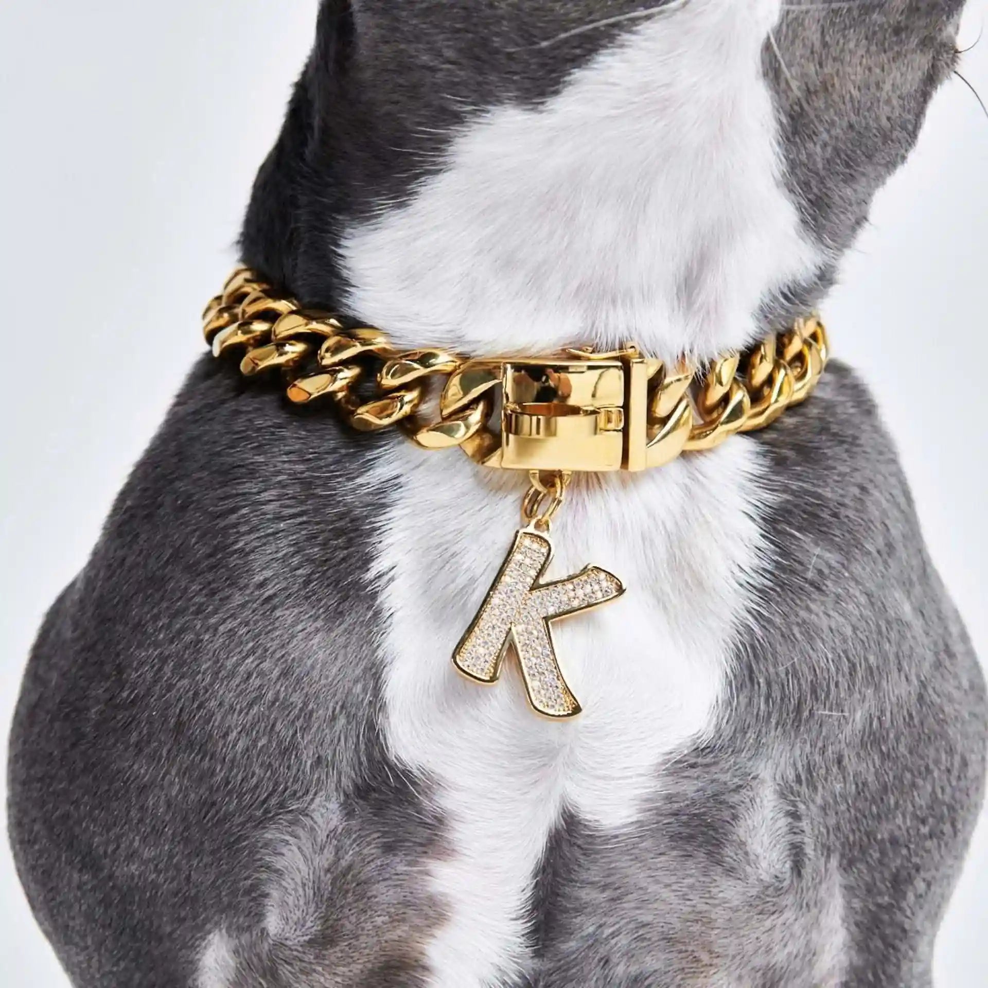 sparkpawsmaut.com