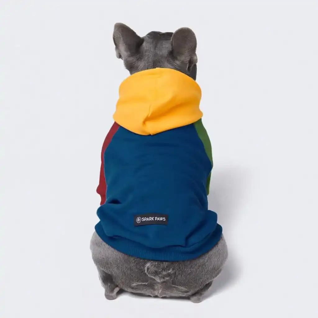 sparkpawsmaut.com