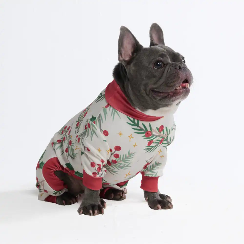 sparkpawsmaut.com