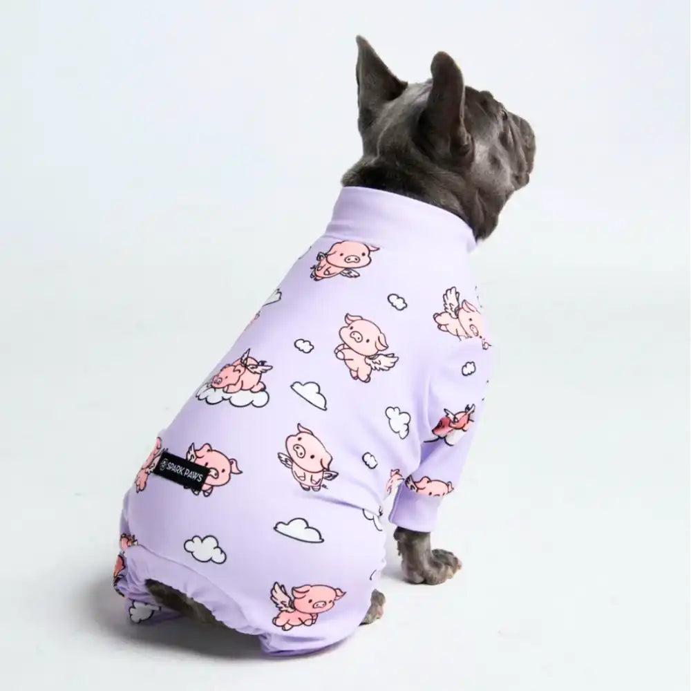 sparkpawsmaut.com