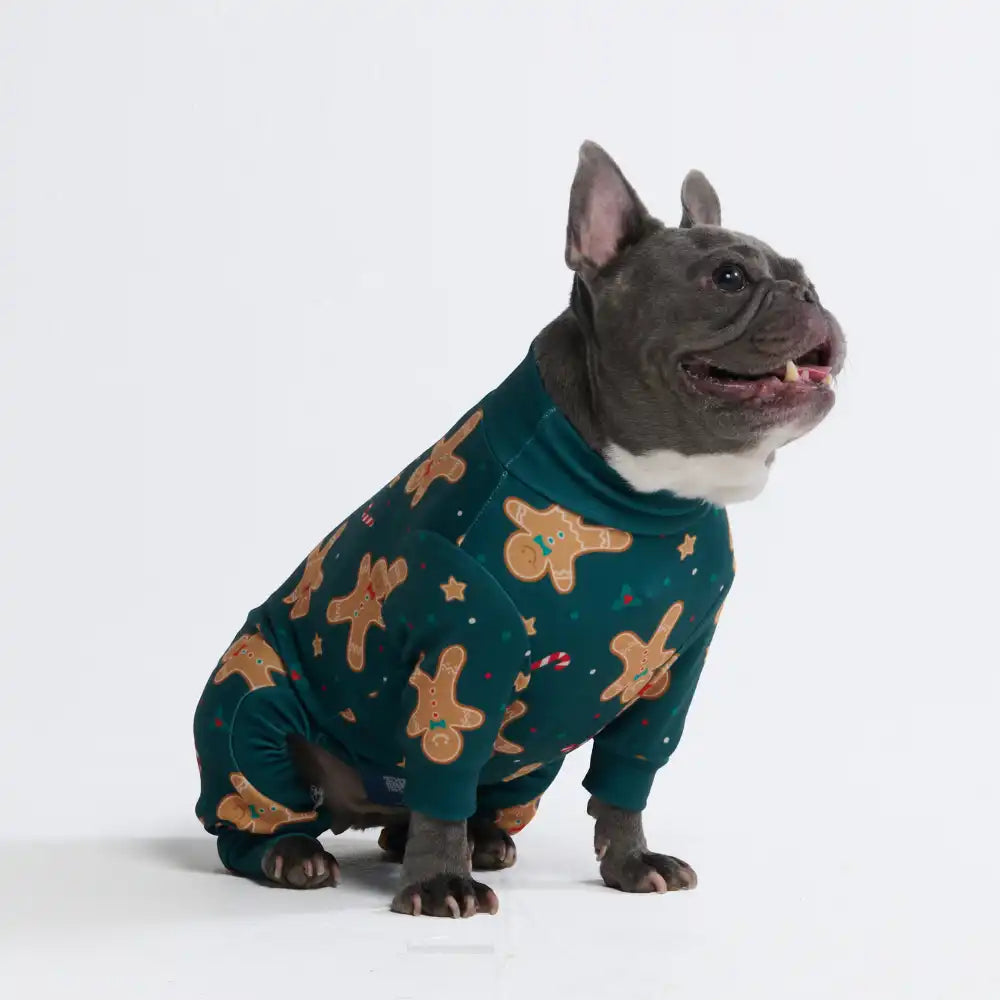 sparkpawsmaut.com