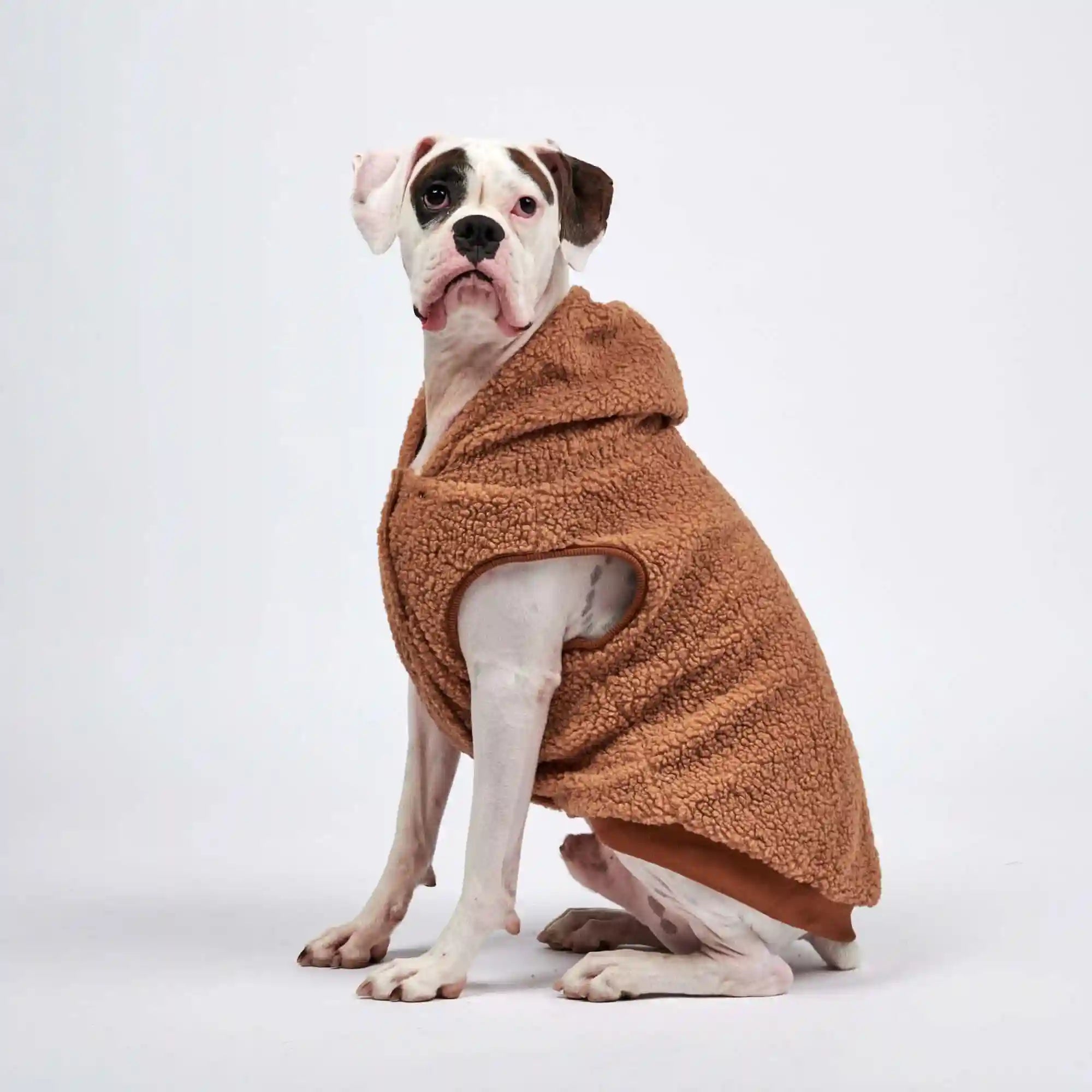 sparkpawsmaut.com