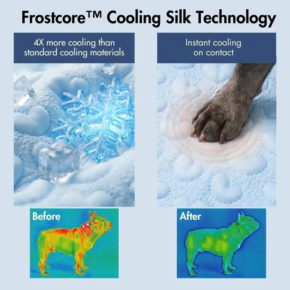 sparkpawsmaut.com