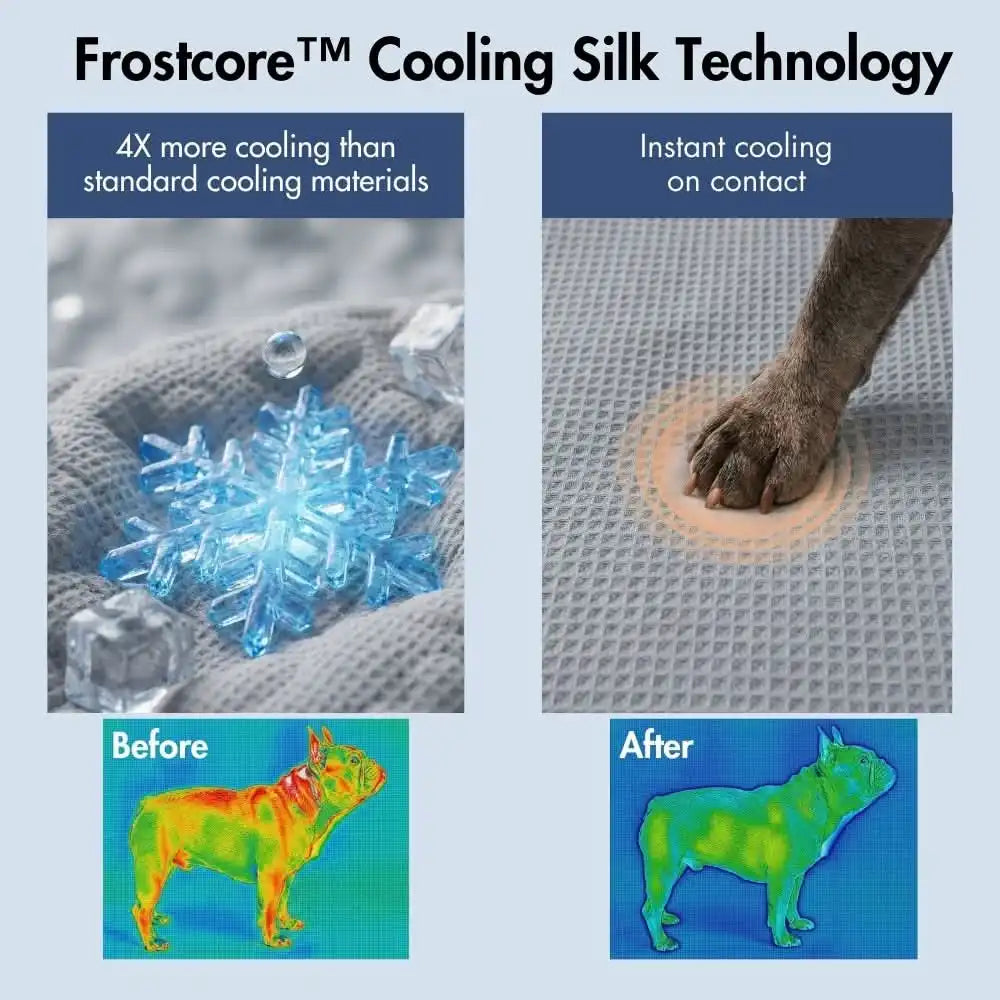 sparkpawsmaut.com
