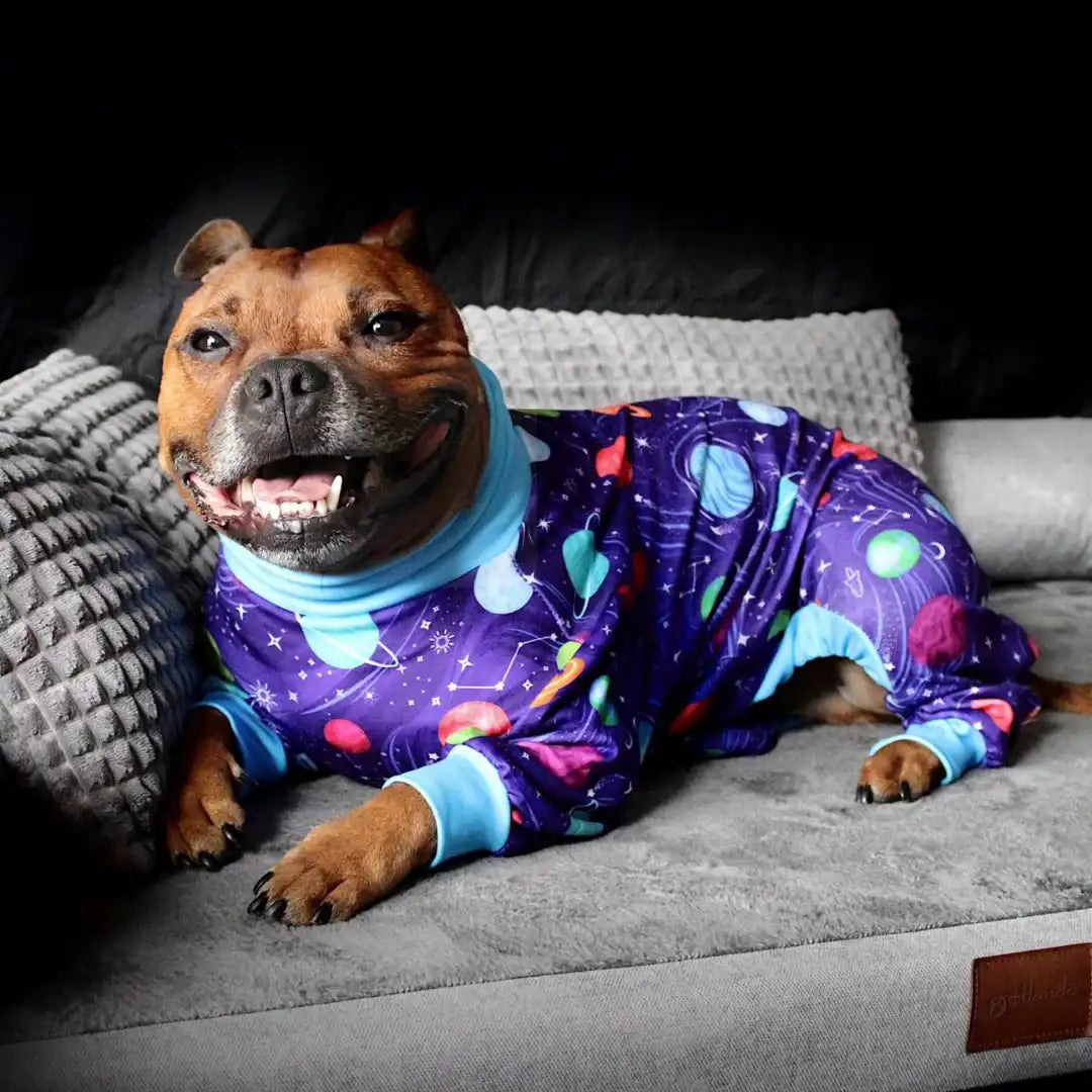 sparkpawsmaut.com
