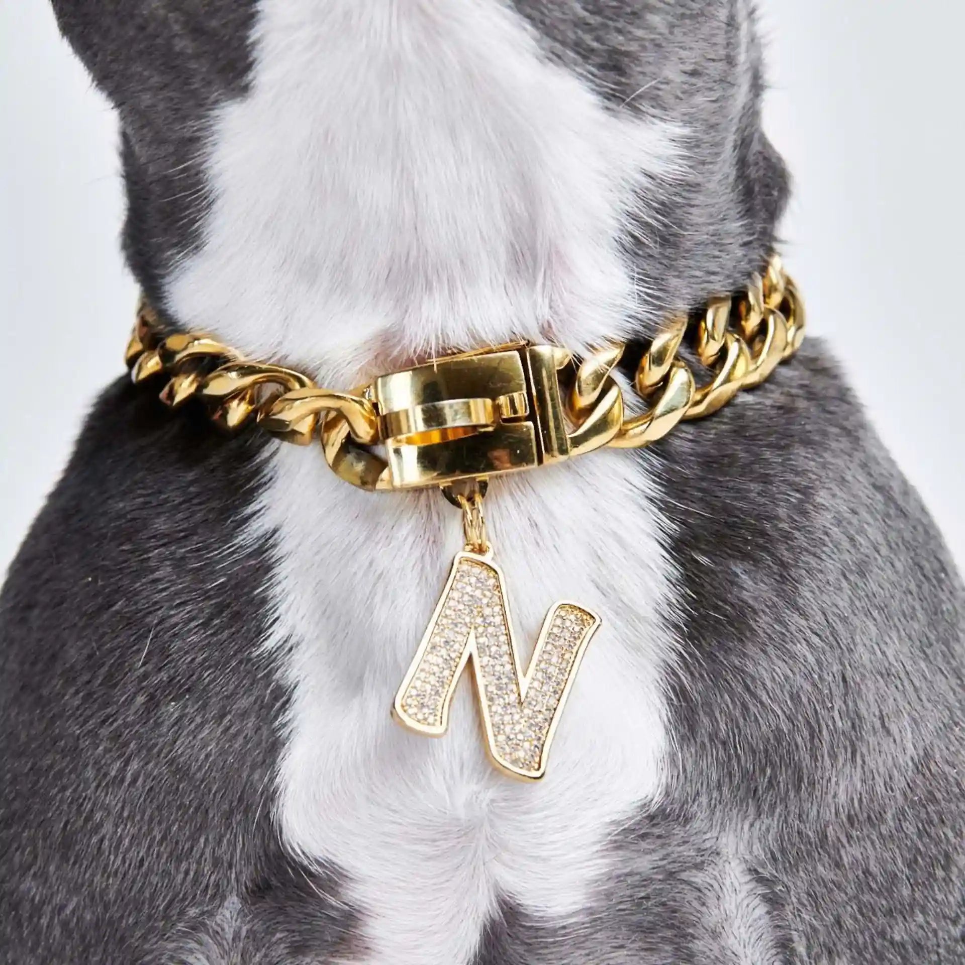 sparkpawsmaut.com