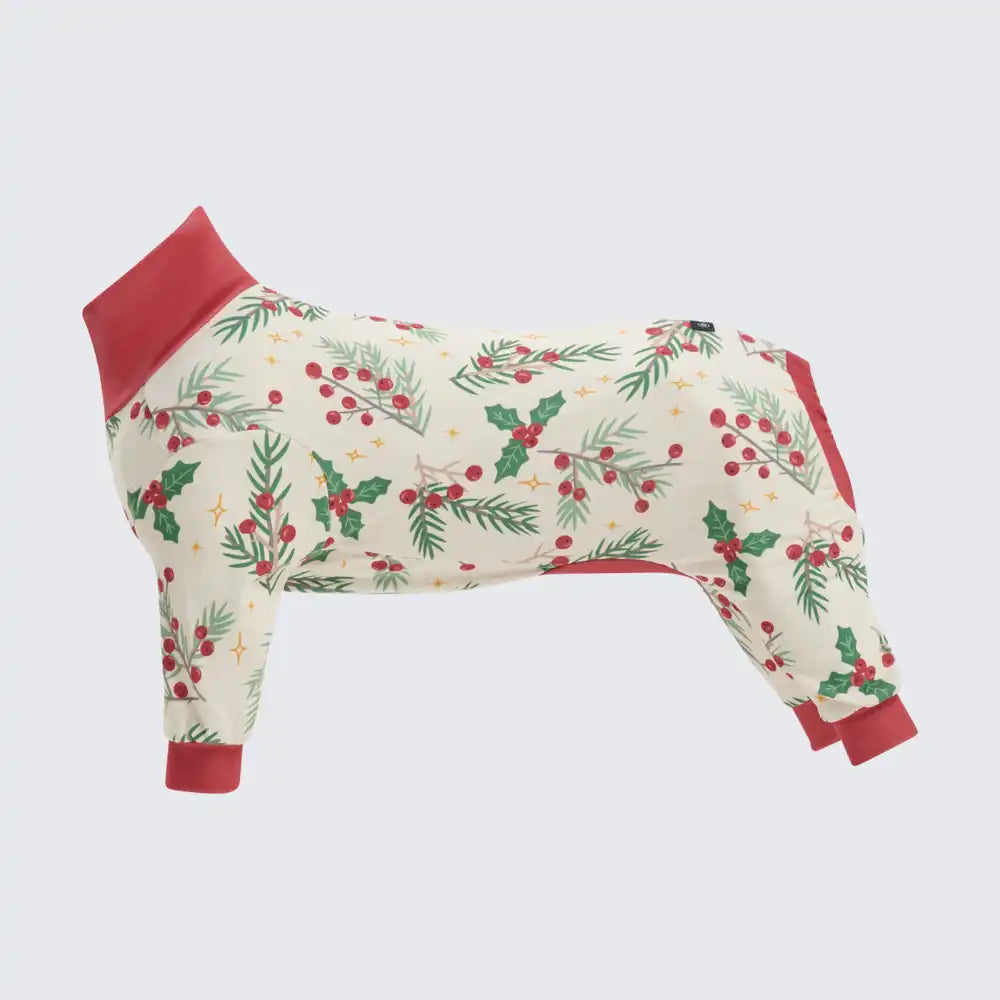 sparkpawsmaut.com
