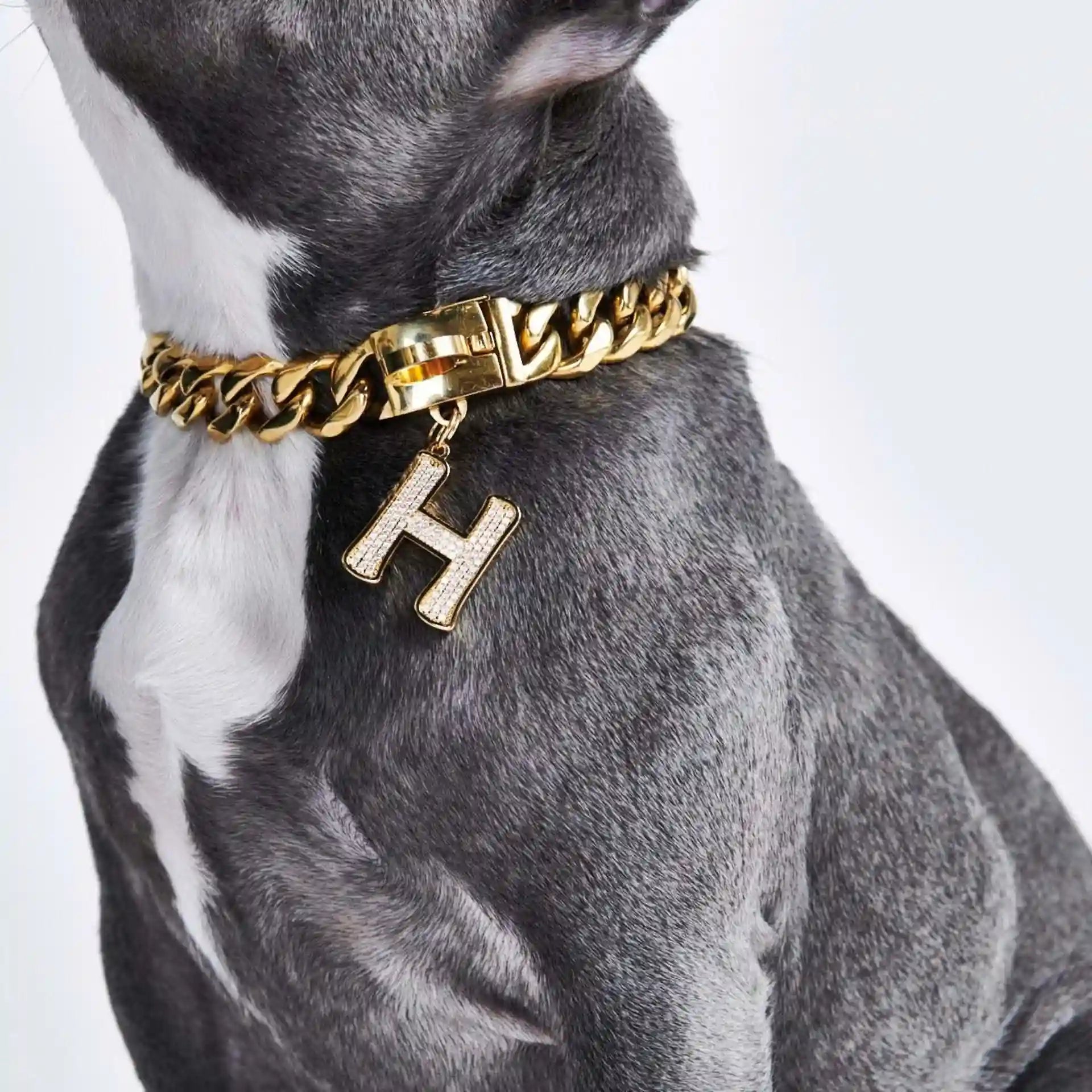 sparkpawsmaut.com