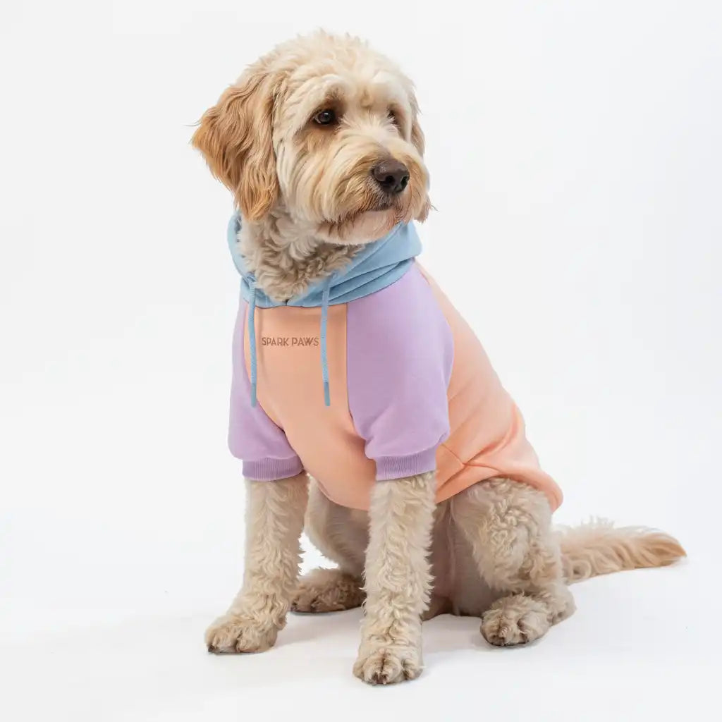 sparkpawsmaut.com