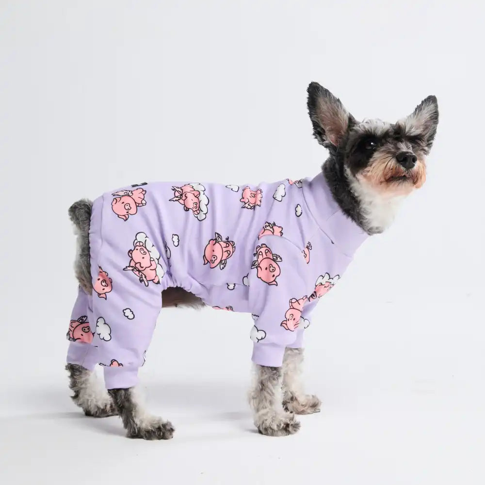 sparkpawsmaut.com