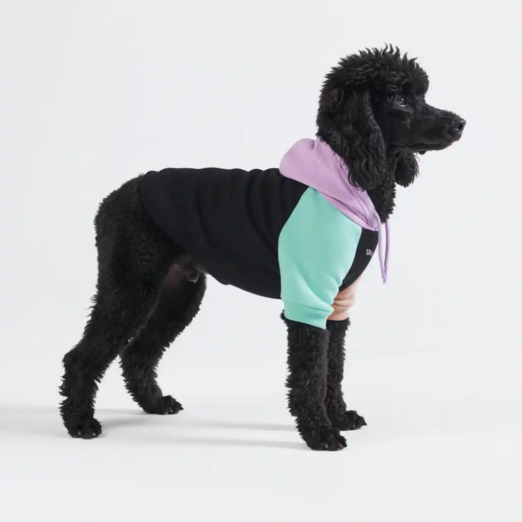 sparkpawsmaut.com