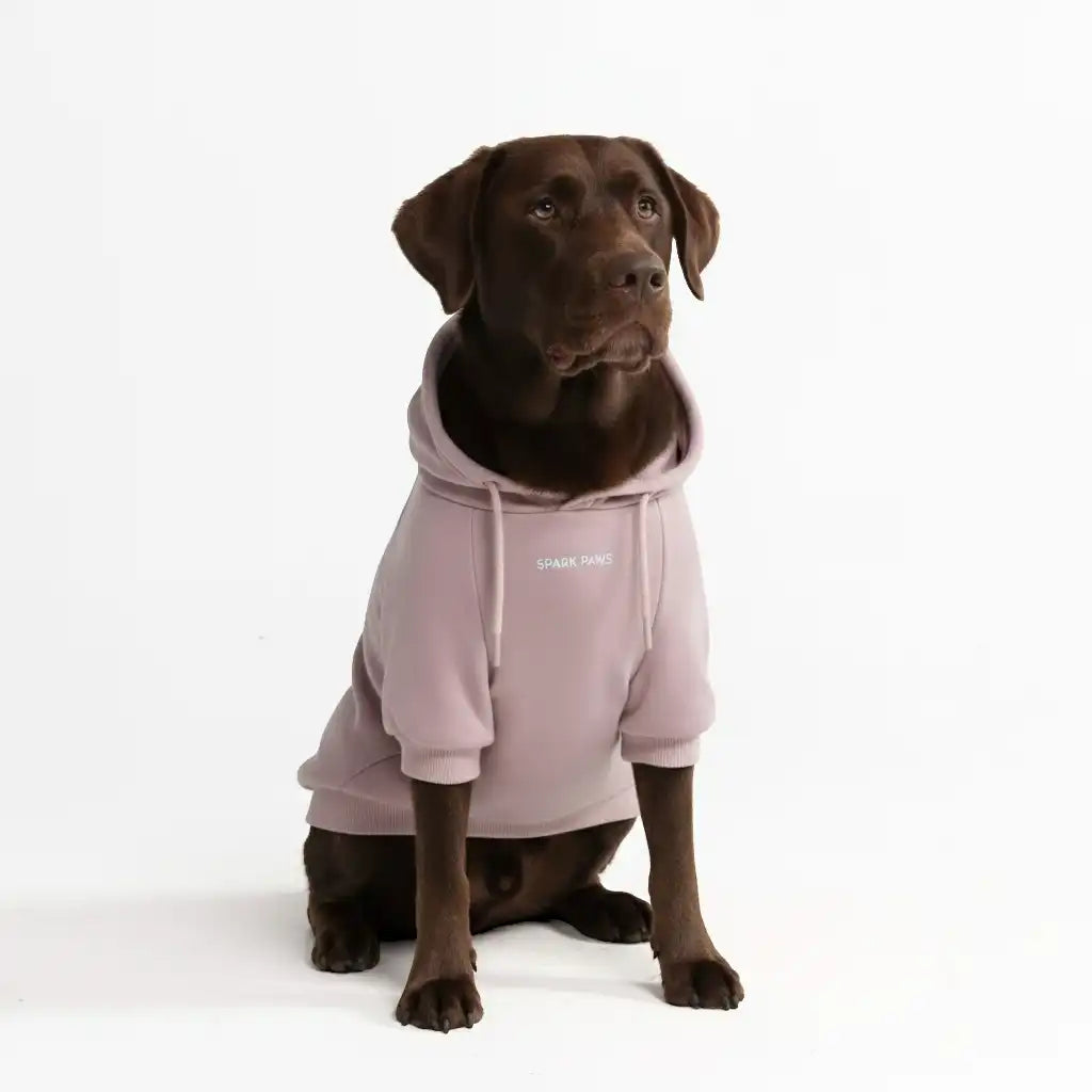 sparkpawsmaut.com