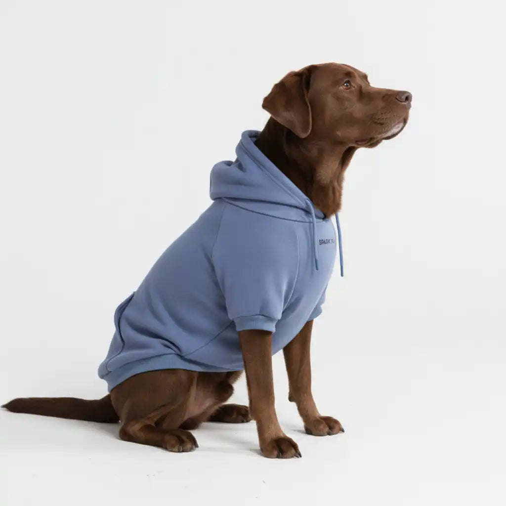 sparkpawsmaut.com