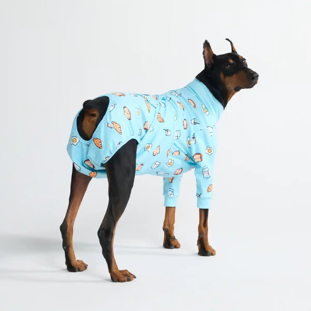 sparkpawsmaut.com