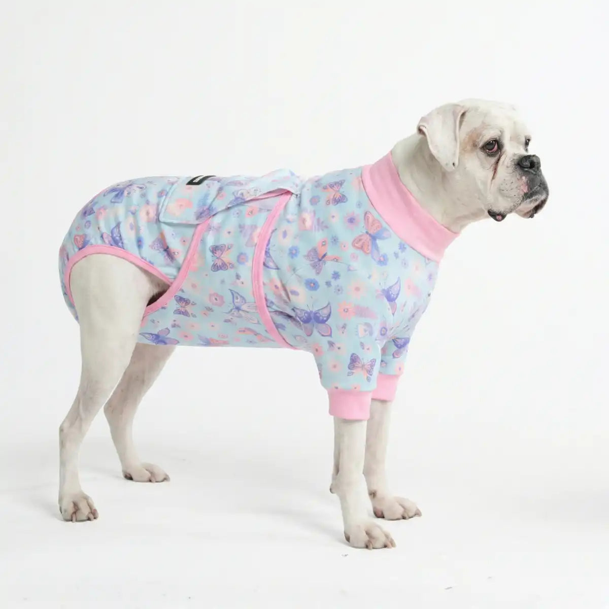 sparkpawsmaut.com