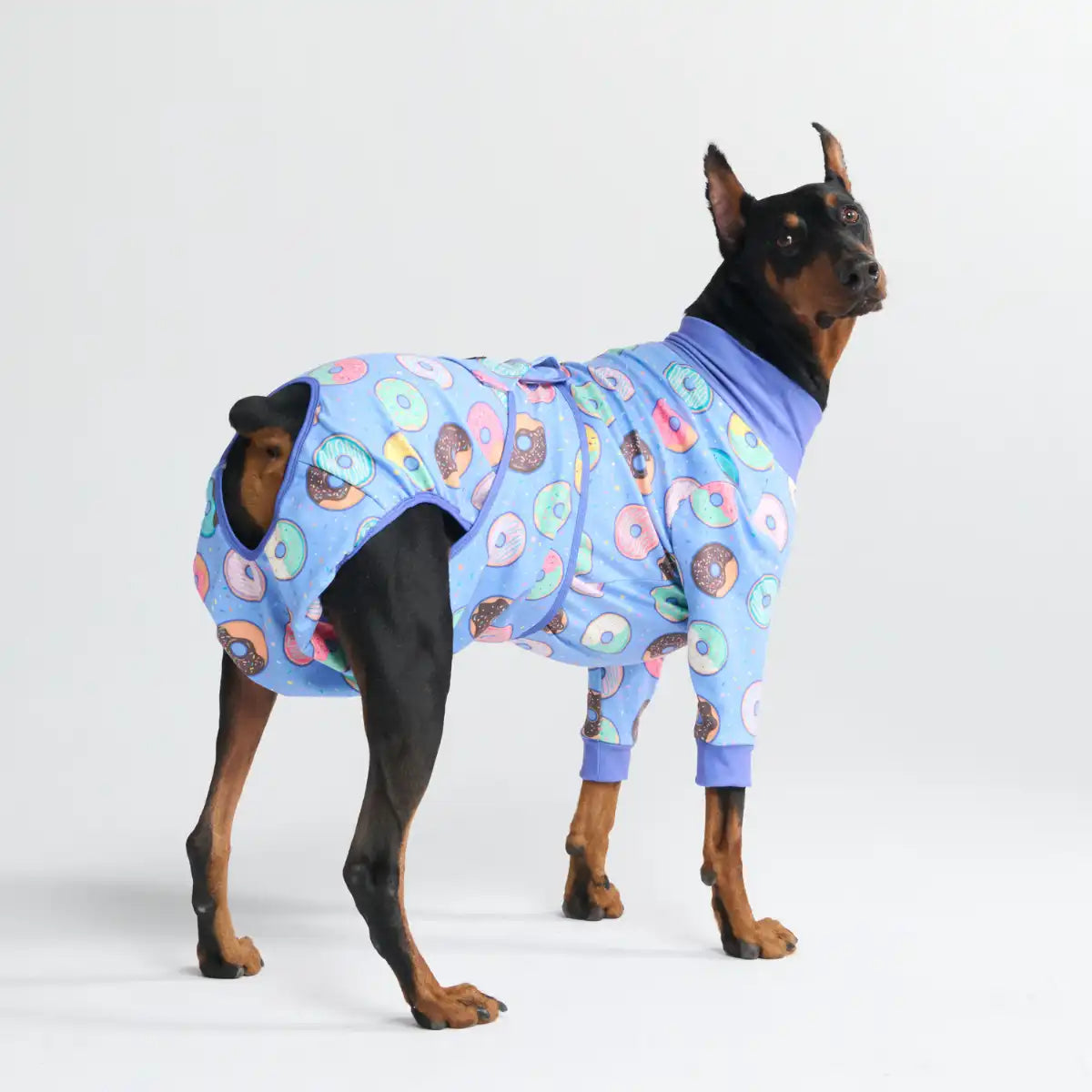 sparkpawsmaut.com
