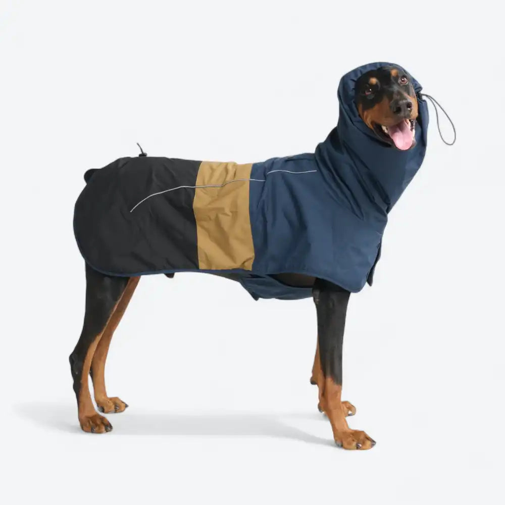 sparkpawsmaut.com