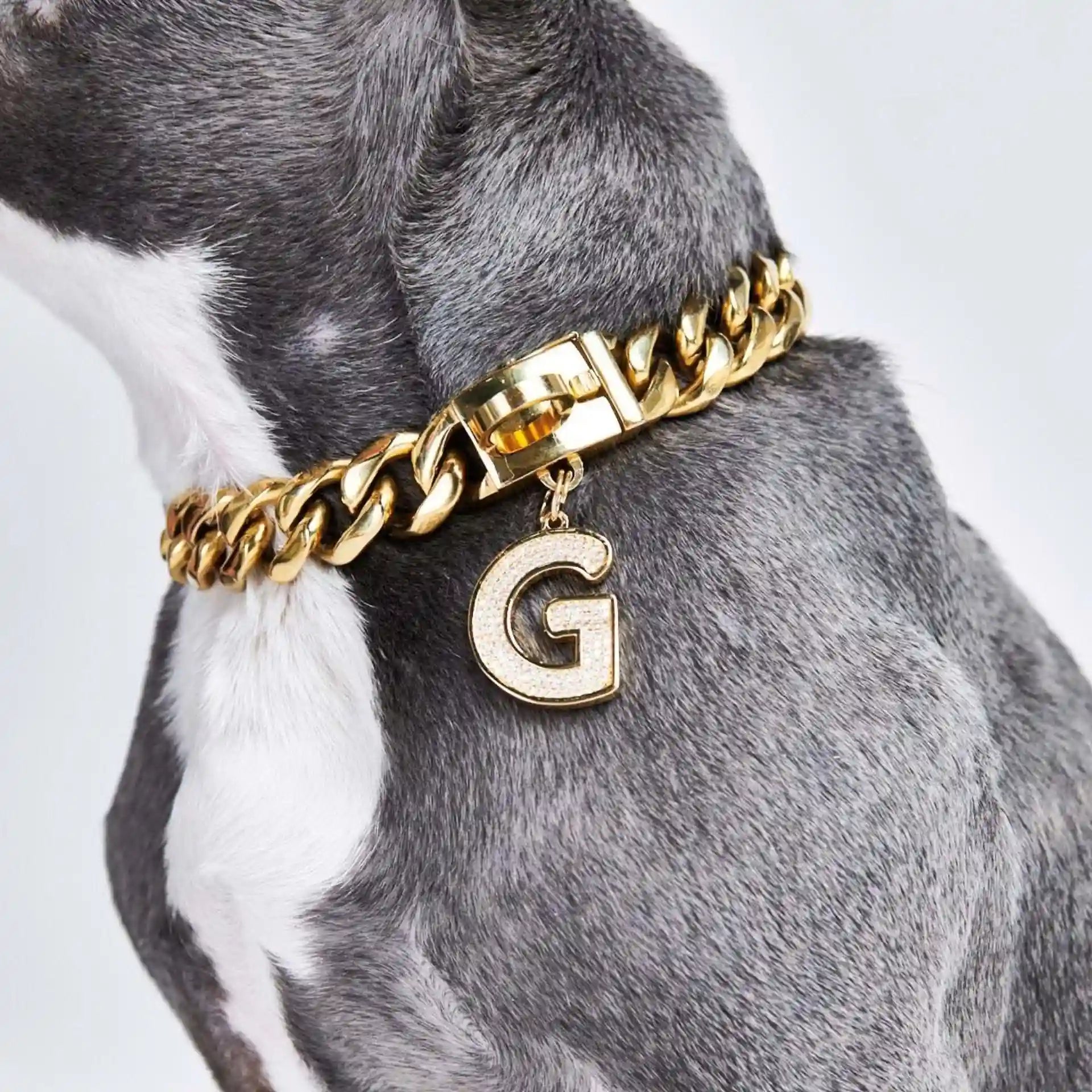 sparkpawsmaut.com